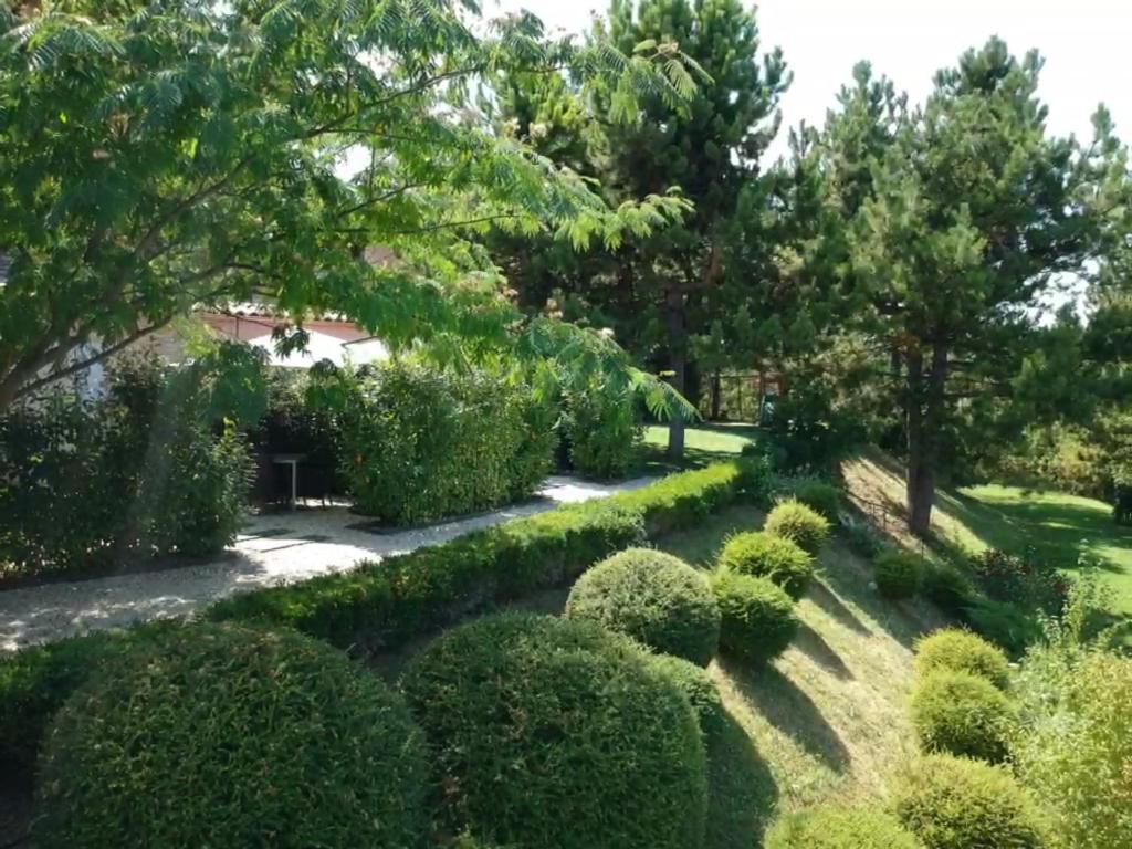 Le Jardin De Celina Bed & Breakfast Valensole Exterior photo